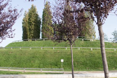 Krasnodar şehrinde Galitsky Parkı