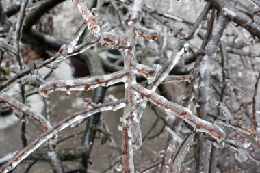 Buz yağmur nedeniyle buz oluşumu