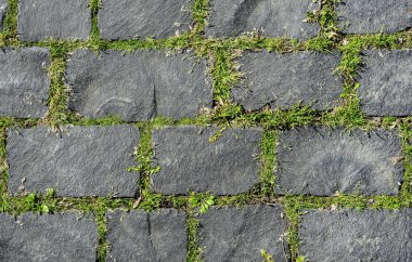 Coble taş arka plan gri. Monoton gri tuğla taş en iyi görünümü kapatın. Kaldırım veya kaldırım ile yeşil çimen