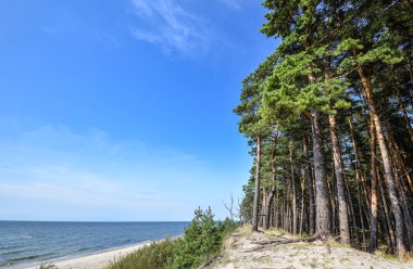 Güzel yaz görünümü Baltık Denizi, çakıl plaj ve çam orman, Curonian Spit, Klaipeda, Litvanya. Yaz deniz manzara. İnsanlar olmadan ıssız beach.