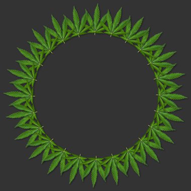 Kenevir veya esrar yuvarlak çerçeve bırakır. Esrar yapılan yuvarlak çerçeve çiçek gri arka plan üzerinde bırakır. Üstten görünüm