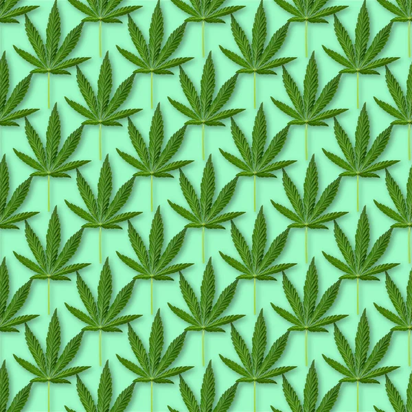 Hennep Cannabis Laat Een Naadloos Patroon Achter Close Van Verse — Stockfoto