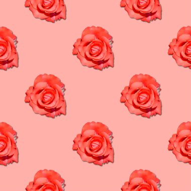 Gül sorunsuz çiçek deseni.