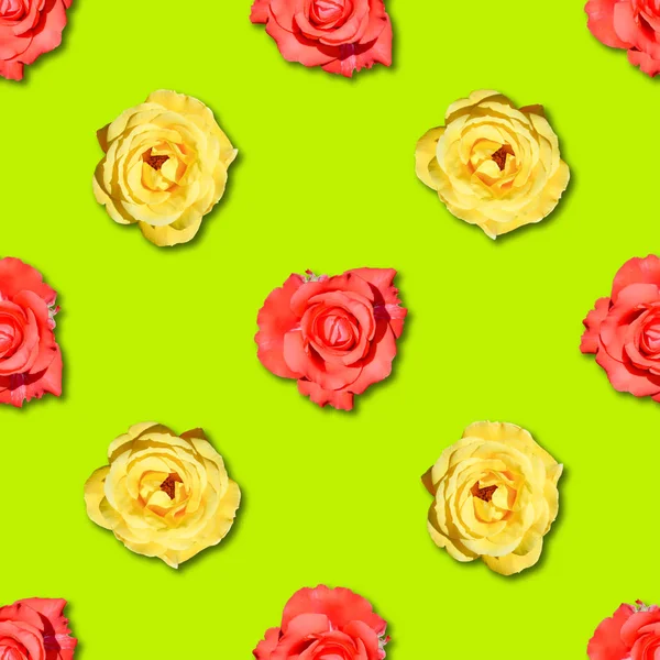 Τριαντάφυλλο απρόσκοπτη λουλούδι μοτίβο. — Φωτογραφία Αρχείου