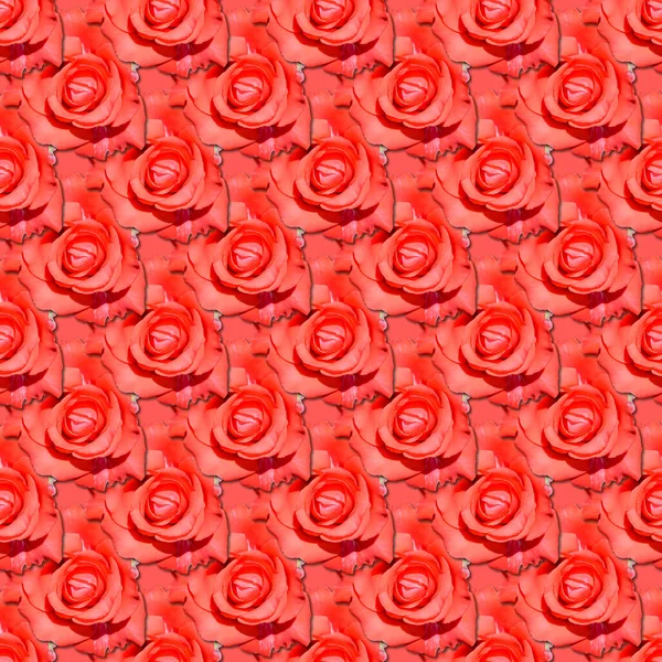 Rose seamless flower pattern. — Stock Photo, Image