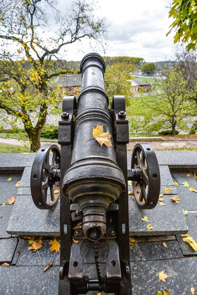 Blick auf alte gusseiserne Kanonen im Chernihiv Park, Ukraine — Stockfoto