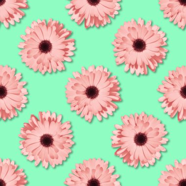 Papatya veya gerbera dikişsiz çiçek deseni