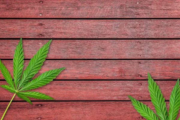 Hojas de cannabis o cáñamo sobre una vieja mesa de madera roja — Foto de Stock