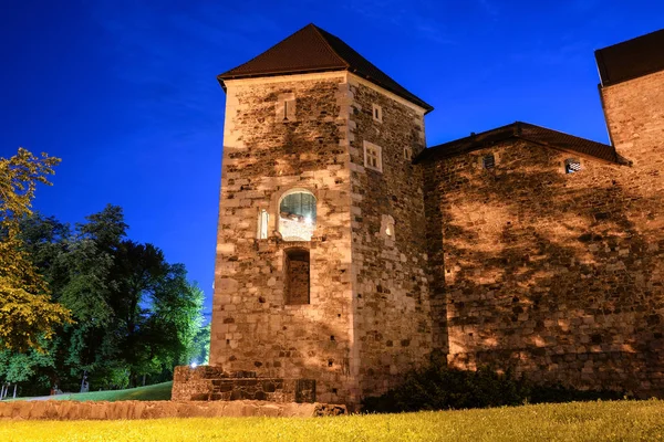 Vista nocturna Castillo de Liubliana, Liubliana, Eslovenia Liubliana es la capital de Eslovenia — Foto de Stock