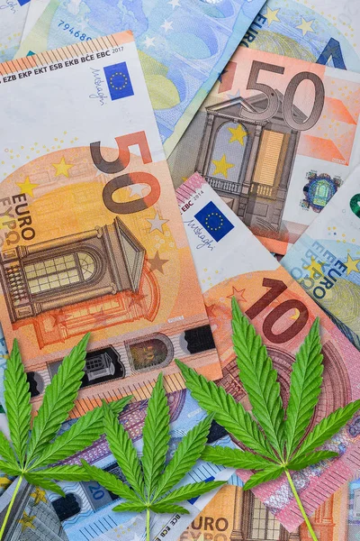 Blízko marihuany na penězích. Konopná nebo konopná listí na peněžním podkladě eura. Rovně ležet. Předloha nebo šablona. — Stock fotografie