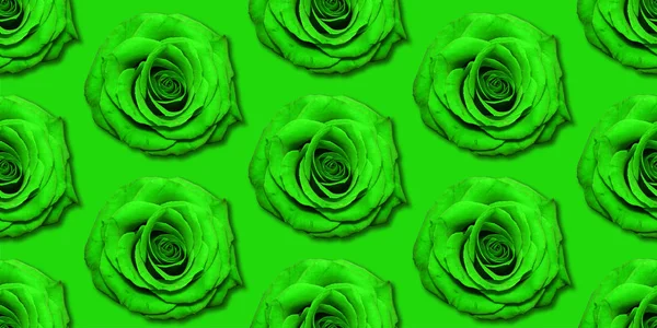 Rose bloemen patroon Top View, platte lag. Bloemmotief op heldere achtergrond — Stockfoto