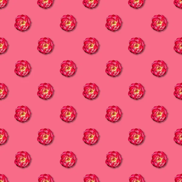 바인 레드 로즈 원활한 패턴. 맨 위 보기. 플랫 레이. 꽃무늬 — 스톡 사진