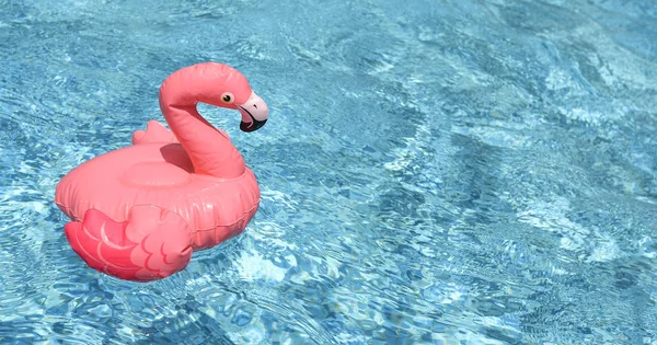 Inflatable pink flamingo float in bright blue pool water.