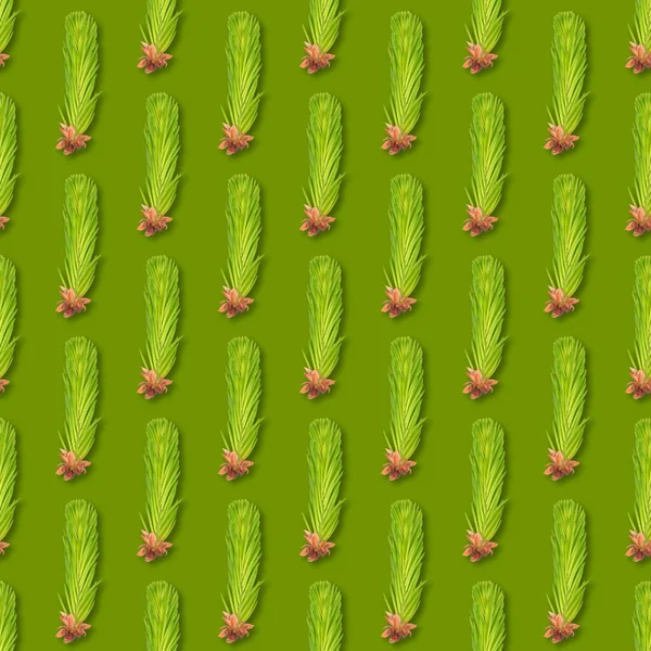 녹색에 고립 된 젊은 가문비 나무 분기. 녹색에 전나무 가지 원활한 패턴. — 스톡 사진