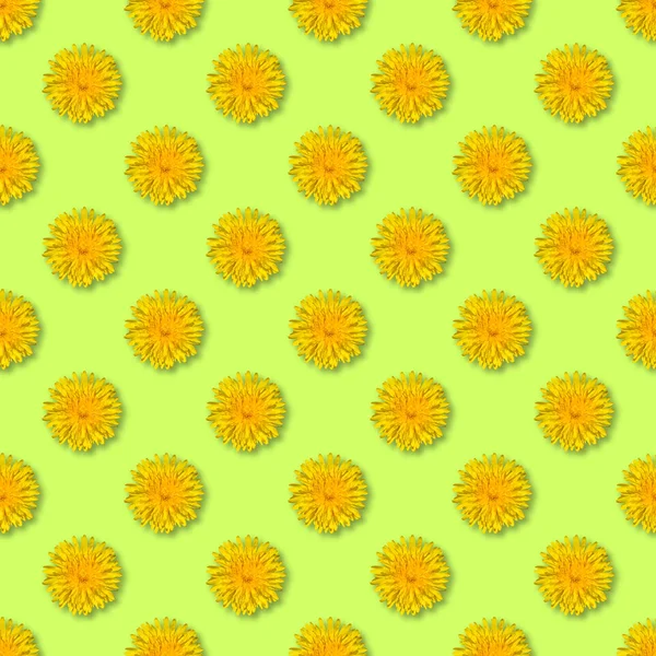Patrón de flor amarilla sin costuras. Flor de diente de león fondo de verano de cerca . —  Fotos de Stock