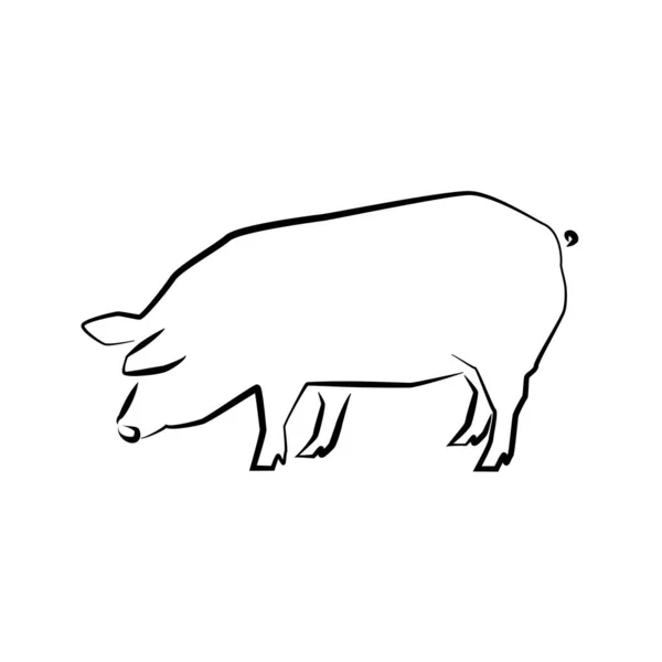 Pig Icon Outline Vector Illustration Hand Drawn Style Farm Animals — Stock Vector