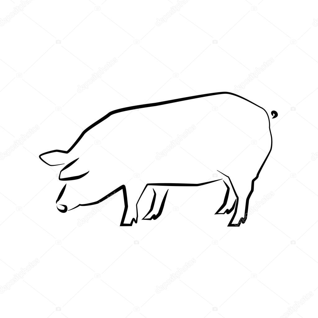 Pig icon. Outline vector illustration. Hand drawn style. Farm animals. Logo of pig full length isolated on white.