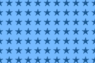 Mavi arka planda mavi deniz yıldızı desenli kurumuş ton. Üst manzara, minimal düz yatış tarzı. Pankart ya da poster.
