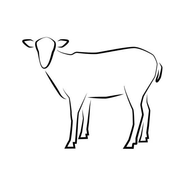 Ikona Ovce Obrysová Vektorová Ilustrace Ručně Kreslený Styl Farmářská Zvířata — Stockový vektor