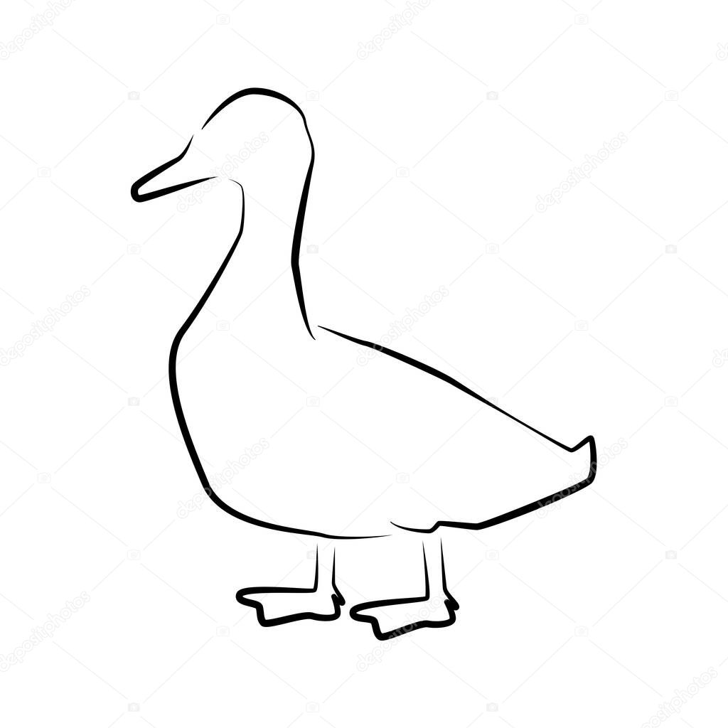 Duck outline simple icon. Farm water bird icon.