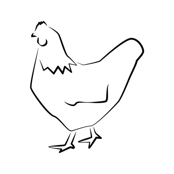 Esquema Gallina Pollo Icono Simple Icono Aves Granja — Vector de stock