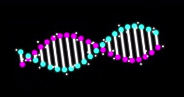 Siyah arkaplanda pürüzsüz bir döngü olan soyut DNA parçasının animasyonu. Bilimsel animasyon için genetik bilginin kavramsal tasarımı. Hologram mavi parlayan DNA.