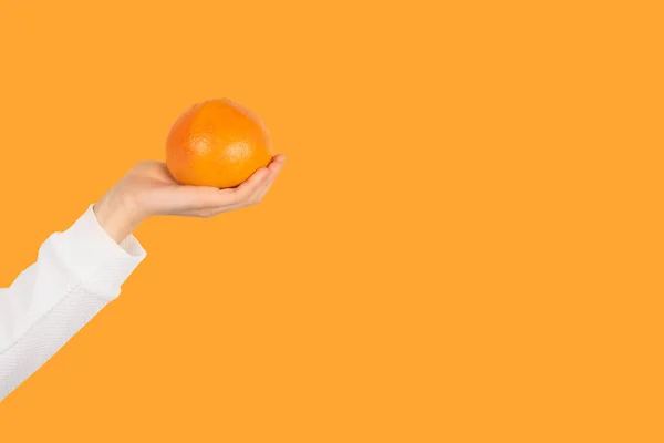 Female hand hold orange fruit isolated on orange background. Banner with copy space. Orange in hand.