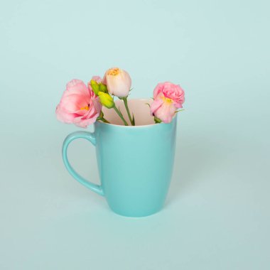 Yumuşak pembe Eustoma çiçekleriyle kahve ya da çay fincanından yapılmış yaratıcı bir kavram. Açık mavi ya da turkuaz arka plan. Mavi fincanda pembe Eustoma çiçekleri