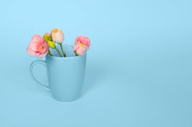 Açık mavi arkaplanda pembe Eustoma çiçekleri olan kahve ya da çay fincanından yapılmış yaratıcı bir kavram. Uzayı kopyala Mavi fincanda pembe Eustoma çiçekleri