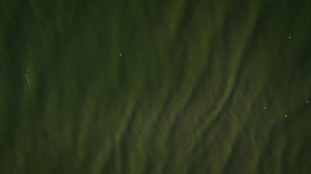 美しい波のパターンを持つ海や海の上の空中ビュー 夏の日の無限のアクアマリン海の水の風景 — ストック動画