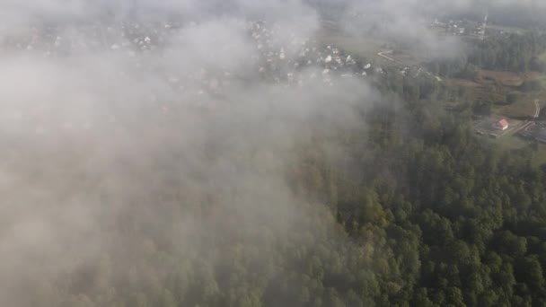 Vista Aérea Sobre Pequena Aldeia Floresta Coníferas Vista Paisagem Floresta — Vídeo de Stock