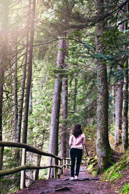 Kız (arka görünümü) dağlarda yeşil orman yolundan yürüyor. Yeşil ve vahşi doğa, orman Ukrayna. Yeşil ağaç bahar brown ile zıt, toprağa yaprak