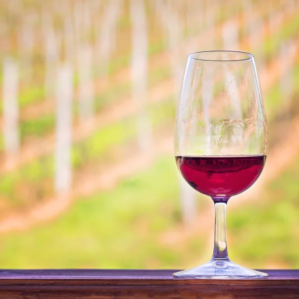 Bir Bardak Üzüm Bağları Çerçevede Bir Kırmızı Şarap Üzüm Şarap — Stok fotoğraf