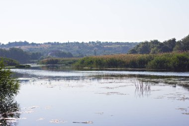 Orman göl üzerinde bekletin. Sabahın erken saatlerinde Balık tutma gölün kıyıdan görüntülemek