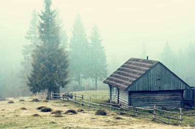 Gözlük şarap ile. Kırmızı, pembe, beyaz gözlük şarap. kırmızı, beyaz ve gül şarap tatma şarap üzüm bağı ile gözlük dizi.
