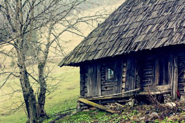 Gözlük şarap ile. Kırmızı, pembe, beyaz gözlük şarap. kırmızı, beyaz ve gül şarap tatma şarap üzüm bağı ile gözlük dizi.