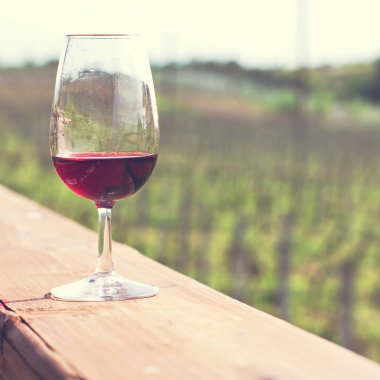 Gözlük şarap kırmızı. Üzüm şarap tadımı.