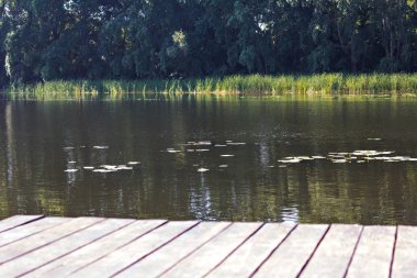 İskele, nehir ve orman. Güzel yaz yeşil görünümü. Yaz arka plan. Orman göl üzerinde bekletin. Balıkçılık Gölü kıyısında sabahın erken saatlerinde görüntüleyin. Metin için yer.