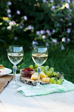 Beyaz şarap ve hafif atıştırmalıklar, üzümler, şarap, peynir, turta. Doğada romantik yaz yemeği. Piknik.