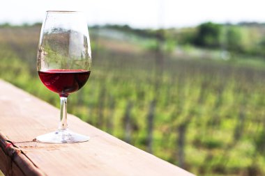 Gözlük şarap kırmızı. Üzüm şarap tadımı.