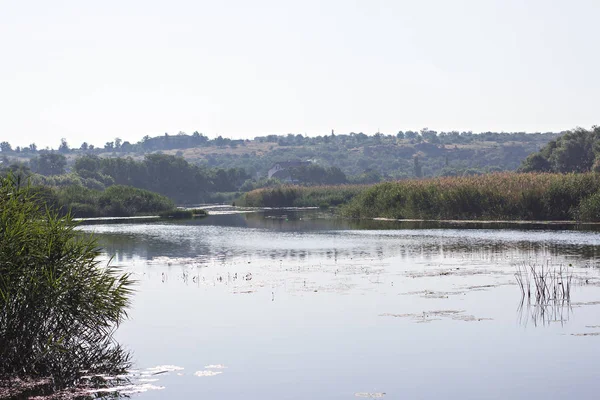 Orman göl üzerinde bekletin. Sabahın erken saatlerinde Balık tutma gölün kıyıdan görüntülemek