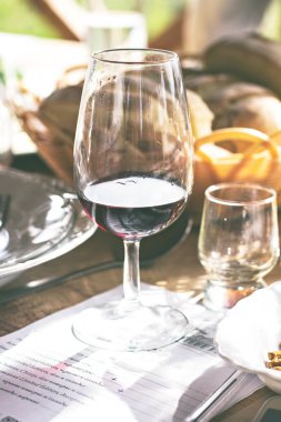 Gözlük şarap ile. Üzüm şarap tadımı.