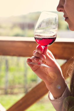 Gözlük şarap kırmızı. Üzüm şarap tadımı.