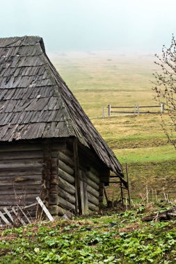 Gözlük şarap ile. Kırmızı, pembe, beyaz gözlük şarap. kırmızı, beyaz ve gül şarap tatma şarap üzüm bağı ile gözlük dizi.
