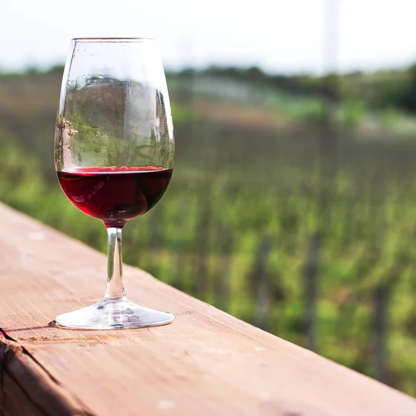Gözlük Şarap Kırmızı Üzüm Şarap Tadımı — Stok fotoğraf