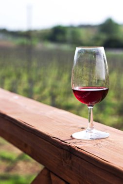 Gözlük şarap kırmızı. Üzüm şarap tadımı.