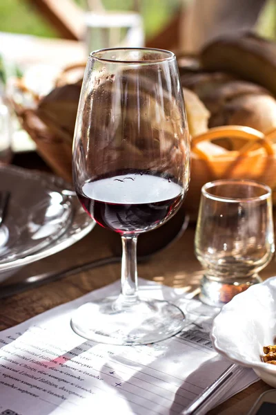Vasos Con Vino Degustación Vino Viñedo —  Fotos de Stock