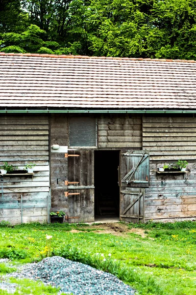 Bulle Auf Dem Hof Stall Braune Kuh Kuhstall Trog Stall — Stockfoto