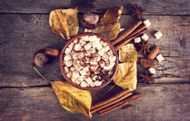 Sıcak kakao marshmallows eski ahşap kurullarında baharatlar ile birlikte. Kahve, kakao, tarçın, fındık, yıldız anason, rahat bluzunu