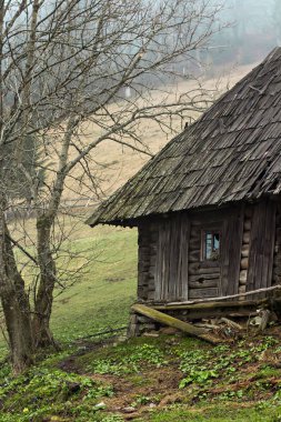 Gözlük şarap ile. Kırmızı, pembe, beyaz gözlük şarap. kırmızı, beyaz ve gül şarap tatma şarap üzüm bağı ile gözlük dizi.